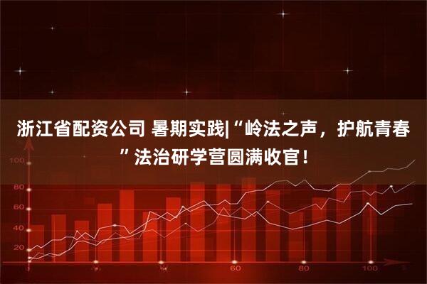 浙江省配资公司 暑期实践|“岭法之声，护航青春”法治研学营圆满收官！