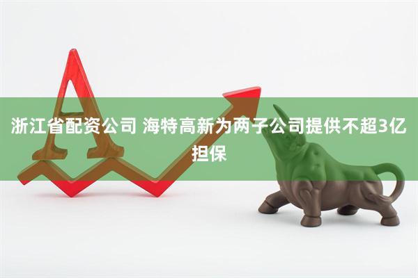 浙江省配资公司 海特高新为两子公司提供不超3亿担保