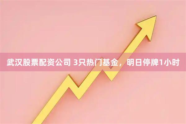 武汉股票配资公司 3只热门基金，明日停牌1小时